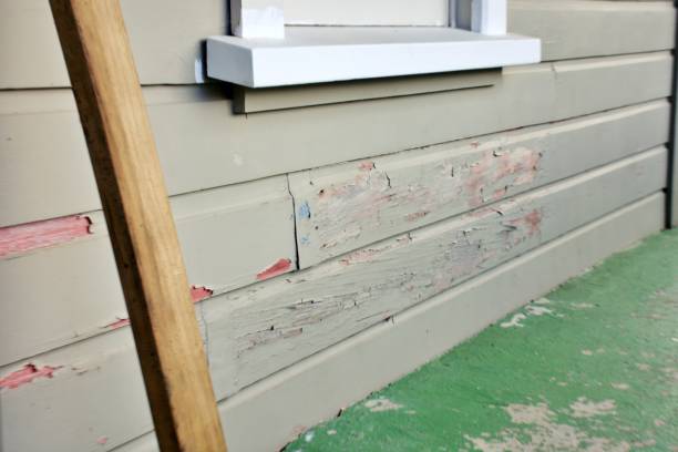 Best Engineered Wood Siding  in Little Ferry, NJ